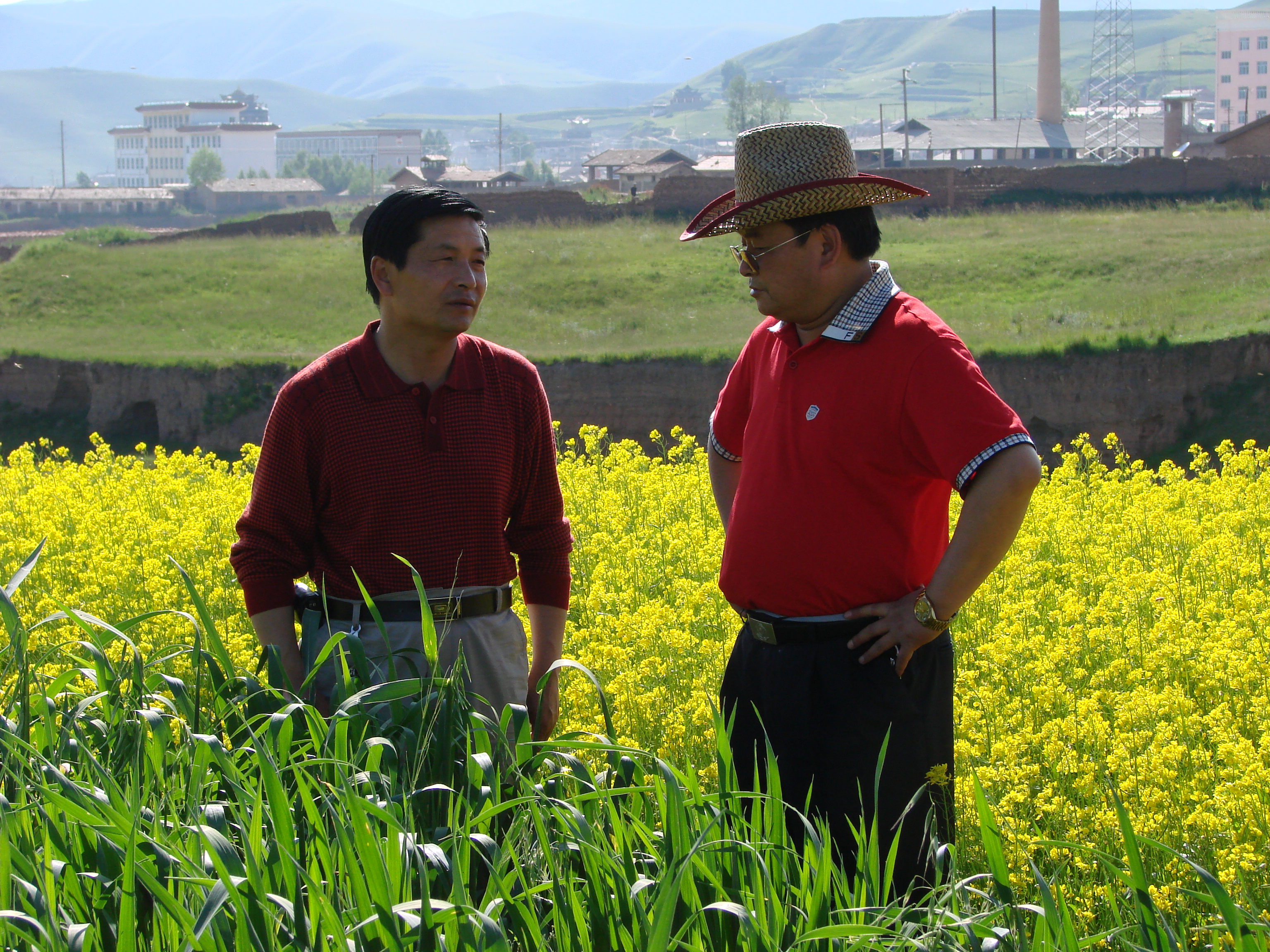 图为州科技局副局长唐西成和副局长罗金明考查农作物新品种