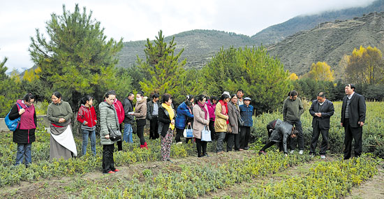 迭部县残联举办残疾人实用技术培训班